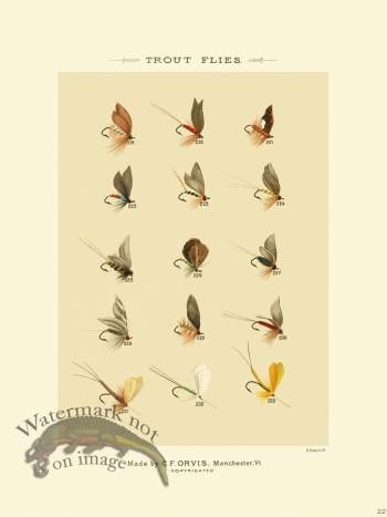 Favorite Flies 22 Trout